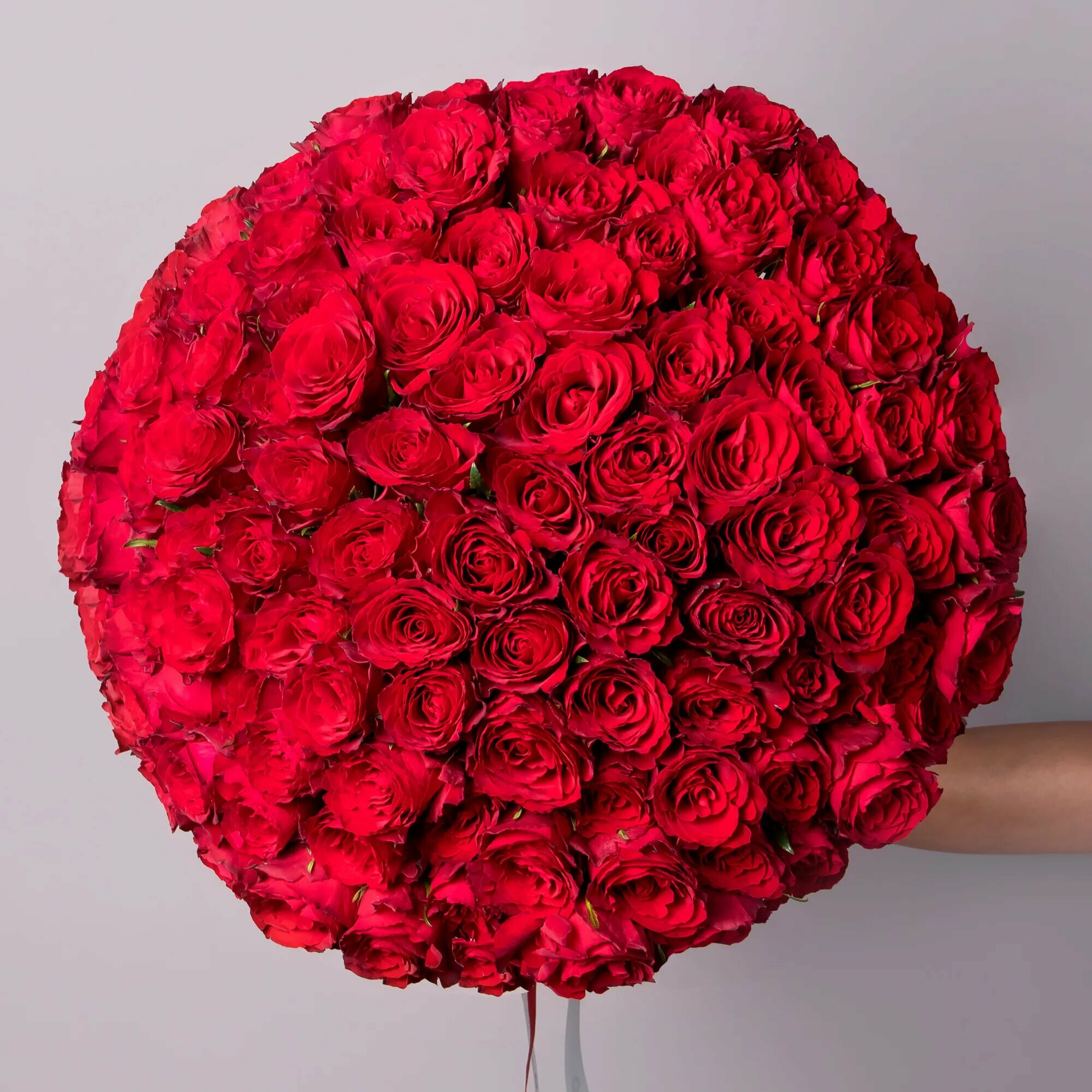 Букет Роза "Красная" 101 шт Высота 40 см кения от "Простоцветы"