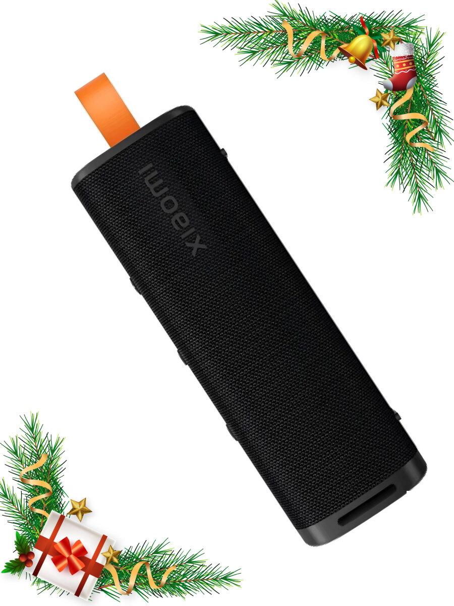 Колонка MI Sound Outdoor (MDZ-38-DB) Black EU, мощность 30W, 2600 мАч, черная