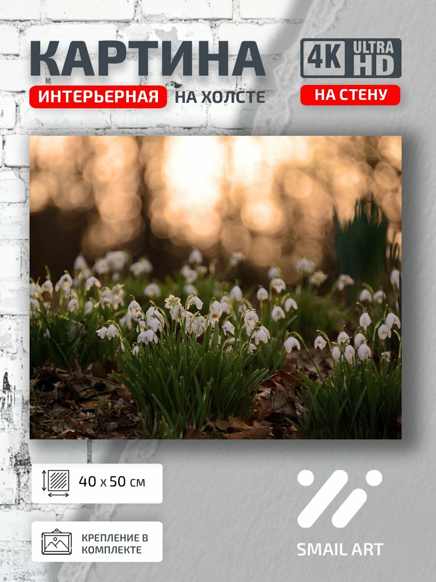 Картина на холсте интерьерная 40 на 50 на стену Блики Mood для гостиной атмосфера интерьер