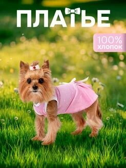 Платье для собак Маленькая кокетка розовое разм 22 S