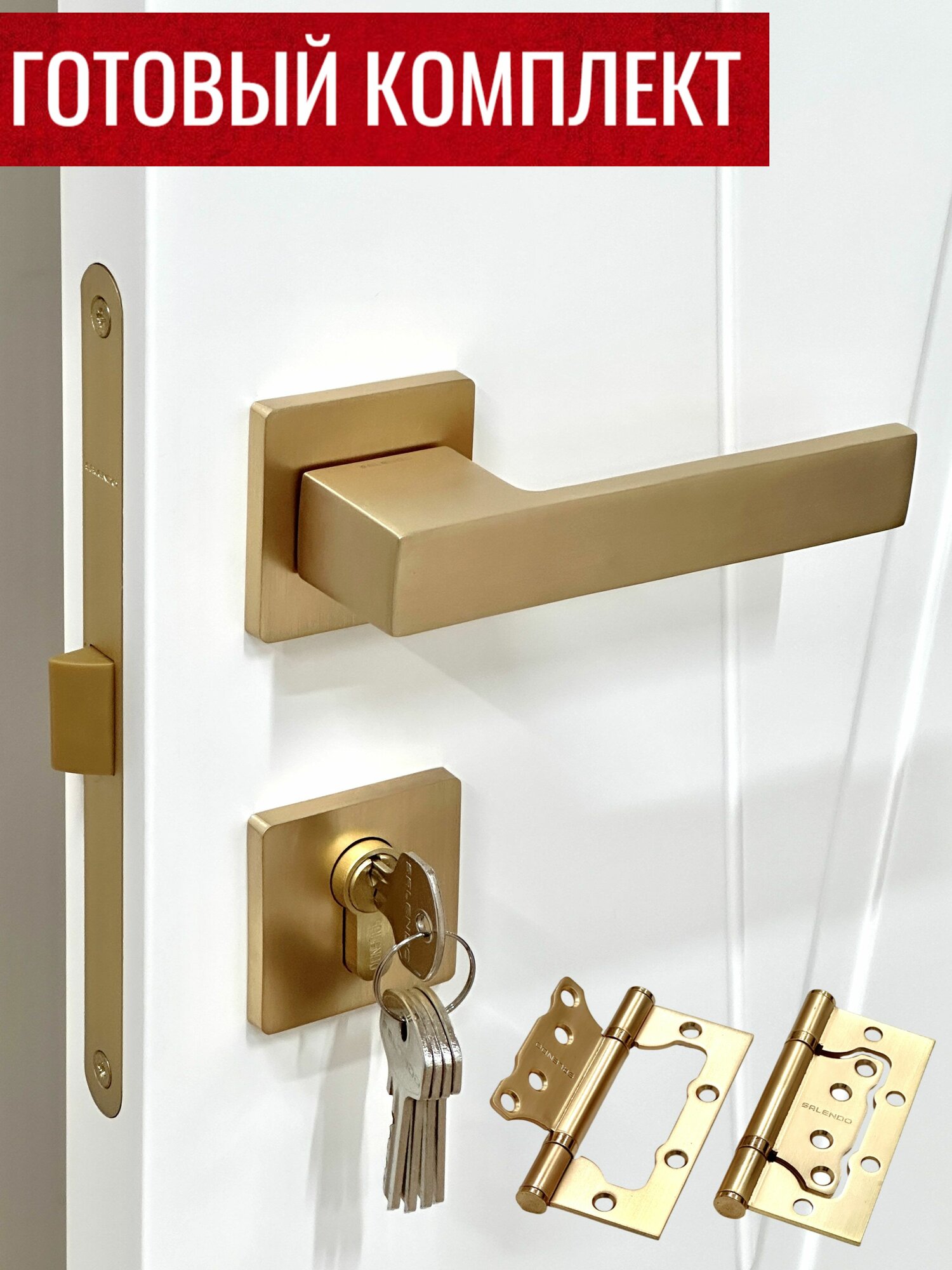 Дверные ручки Salendo SL-25-S5 MSG + Замок P1885-ET MSG + Накладки на личинку замка SL-ET-S5 MSG + Личинка для замка ключ/завертка 60K/V-MSG + Дверные петли бабочки SL 100X75X2,5-2BB MSG _ 2 шт.