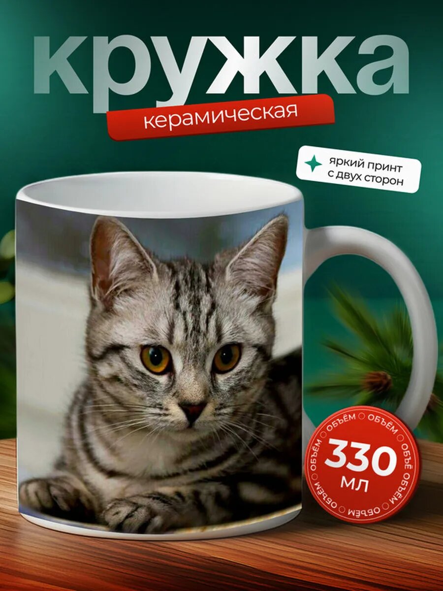 Кружка Американский керл короткошерстный кот 38,