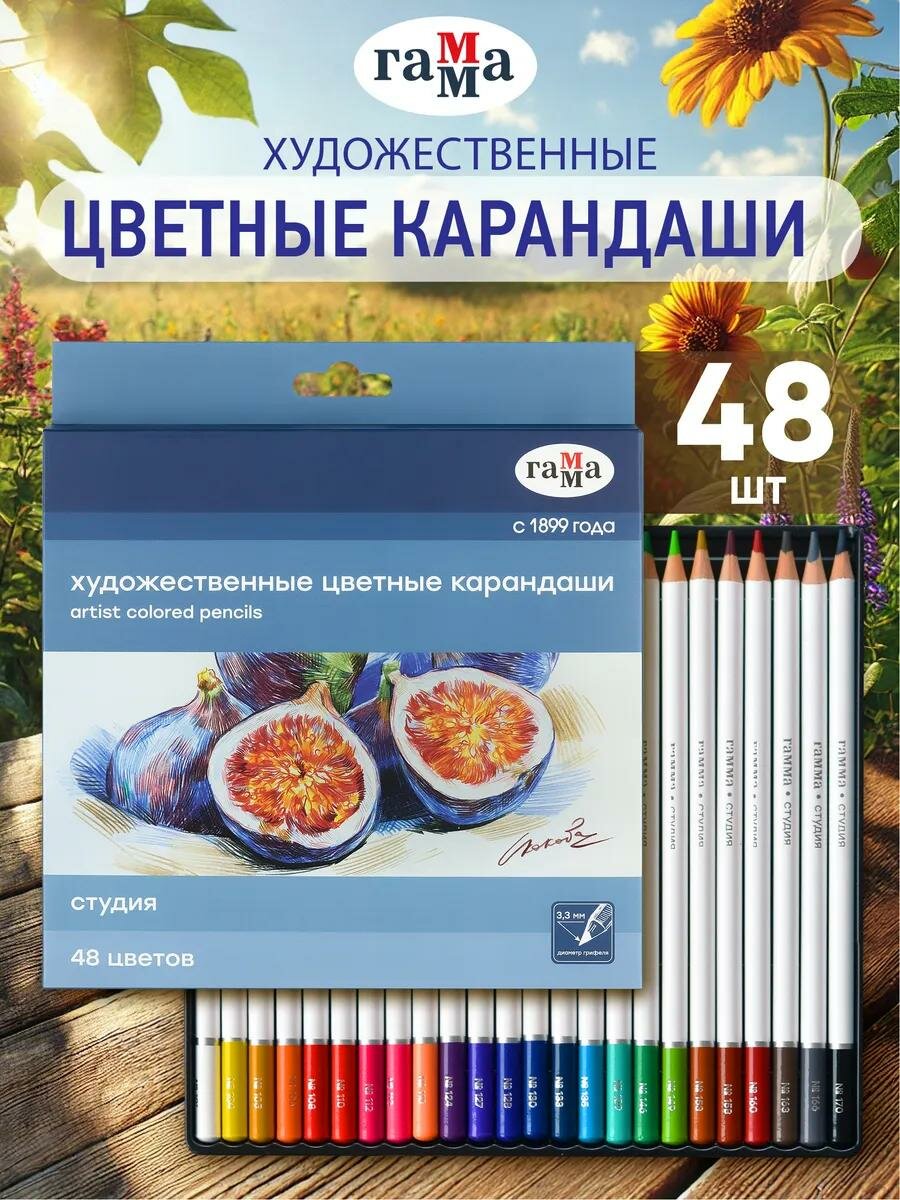 Карандаши цветные для рисования художественные Гамма Студия 48 цветов