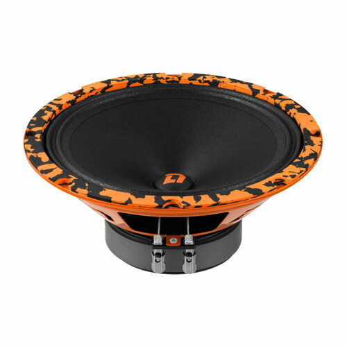 фото Акустическая система dl audio barracuda 200