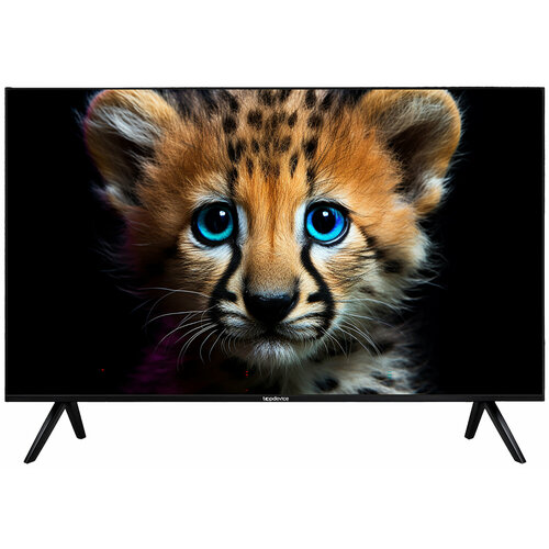 фото Телевизор topdevice tdtv55es13u_bk