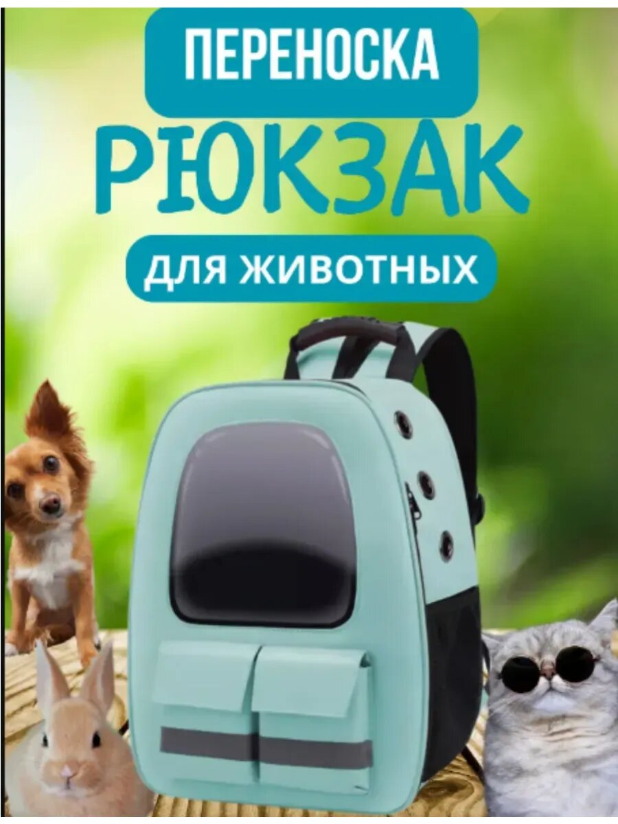 Автобокс для животных, переноска для животных