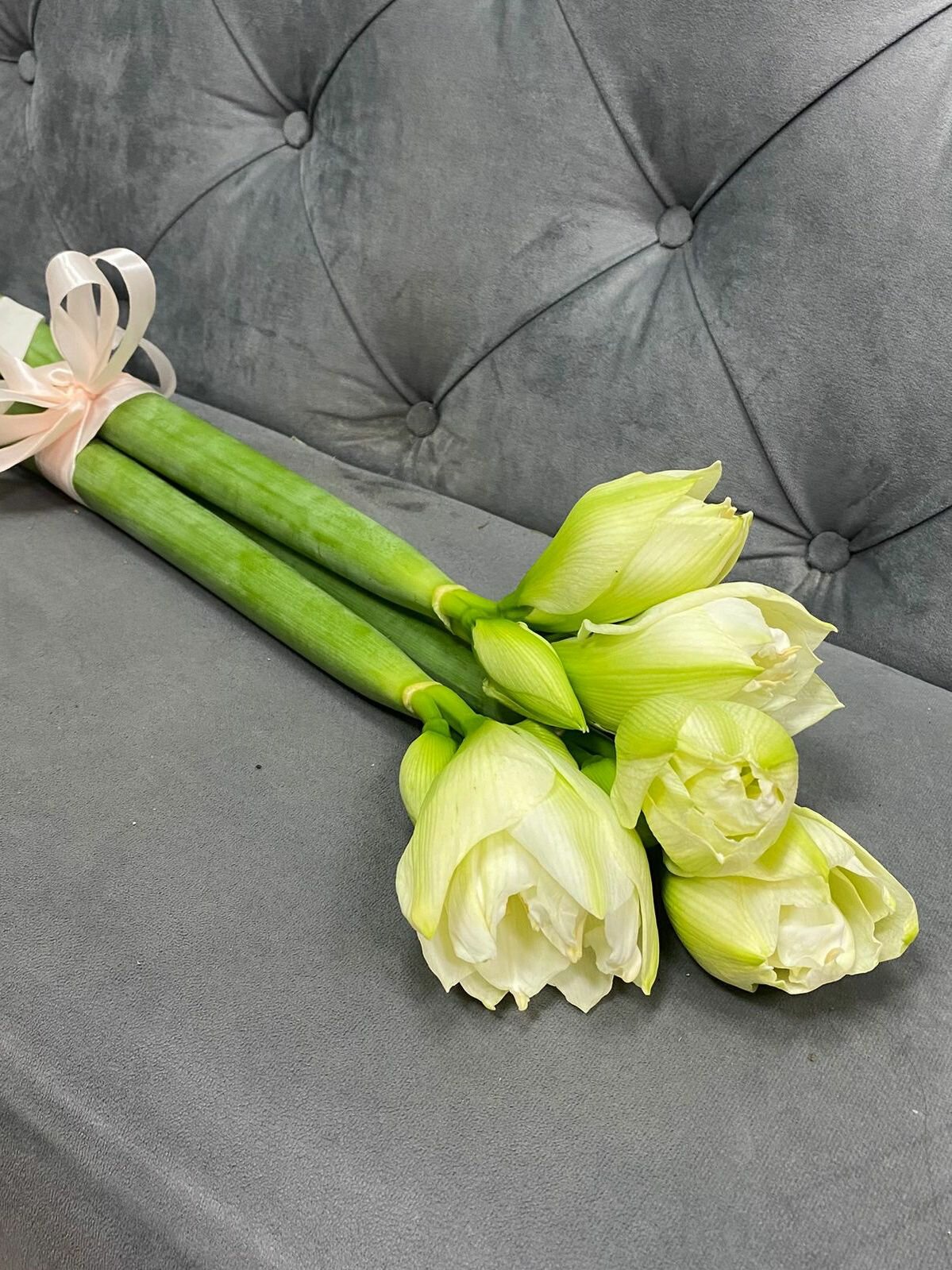 Букет из белых амариллисов под ленту (3 штуки)