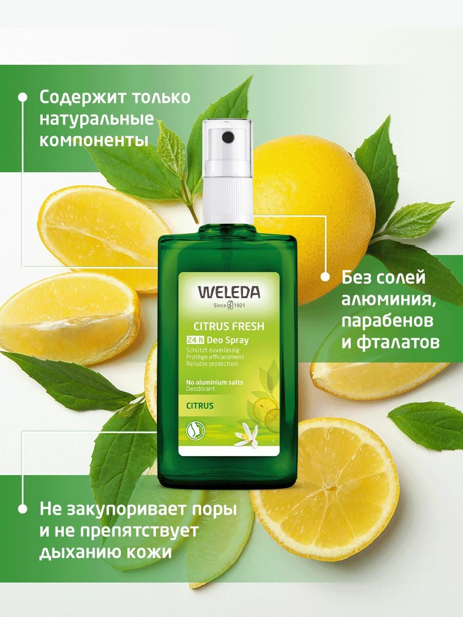 Weleda Цитрусовый дезодорант - спрей, для всех типов кожи, 24ч, 100мл. — фото 1