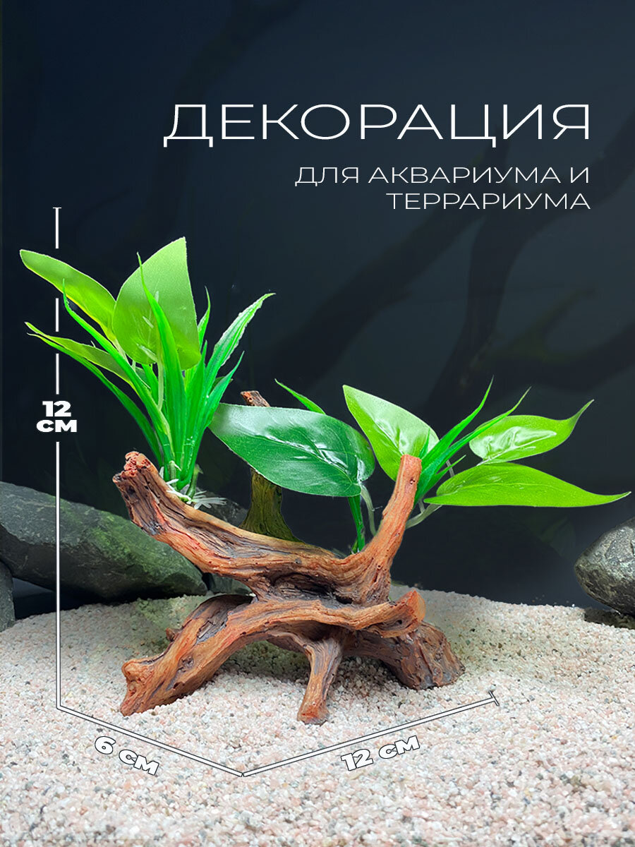 Декорация для аквариума укрытие для рыб и креветок аквариумное украшение 12х6х12 см