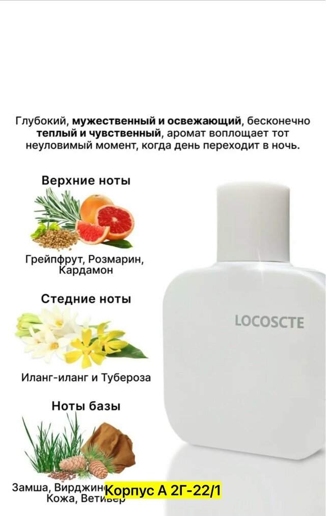 Духи туалетная вода для мужиский Locoscte L.12.12 Blanc 50 мл — фото 1