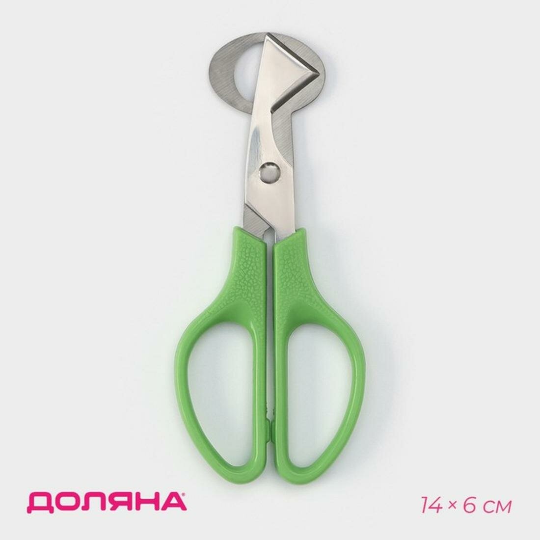 Ножницы для перепелиных яиц 14×6 см цвет зелёный