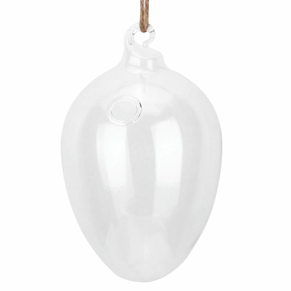 Подвесная стеклянная ваза для гидропоники в форме яйца