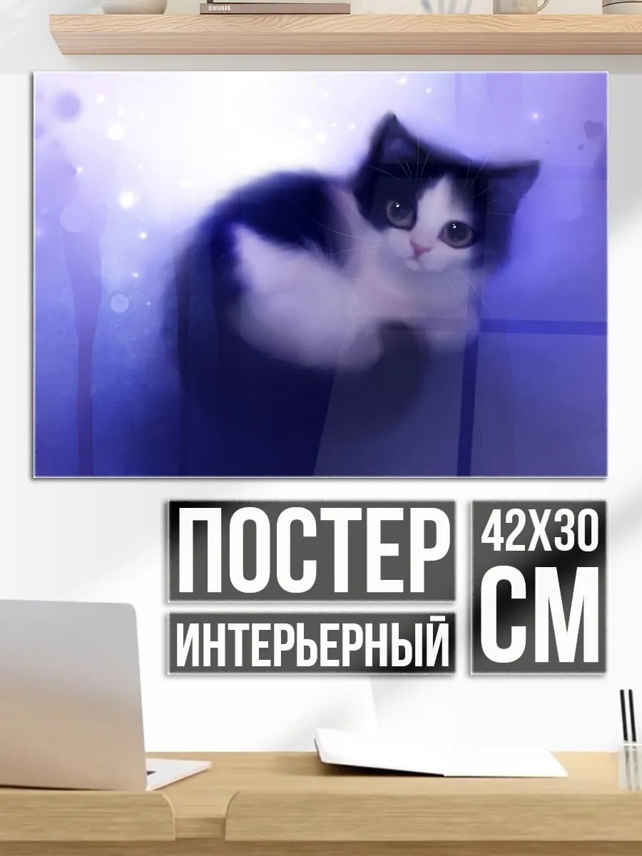 Плакат постер Пушистый котенок в сиянии