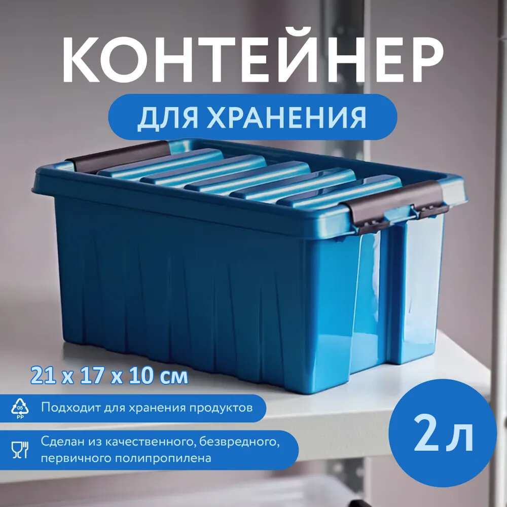 Контейнер для хранения RoxBox с крышкой 2л 21х17х10 см синий