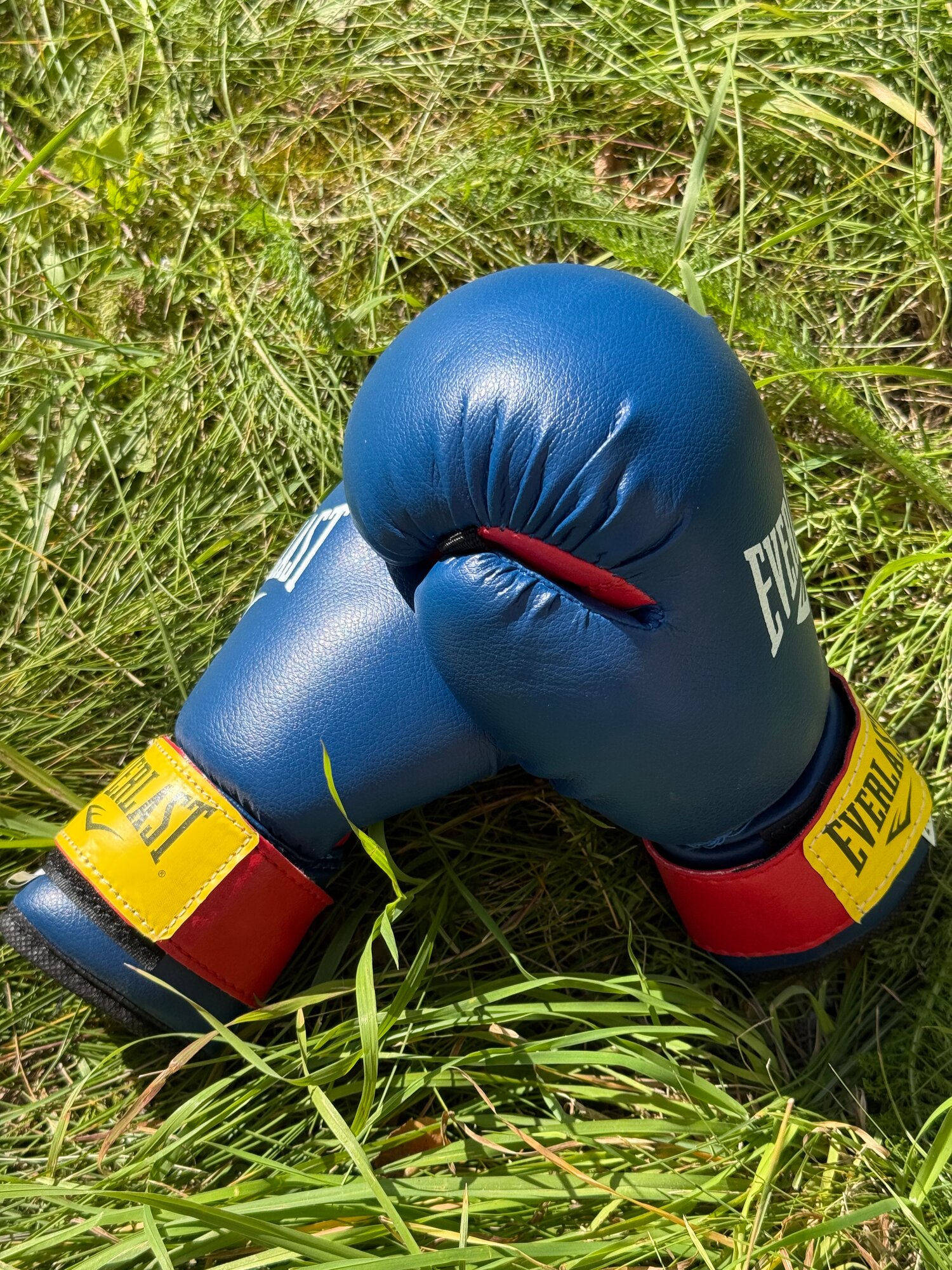 Боксёрские перчатки Everlast 2 oz