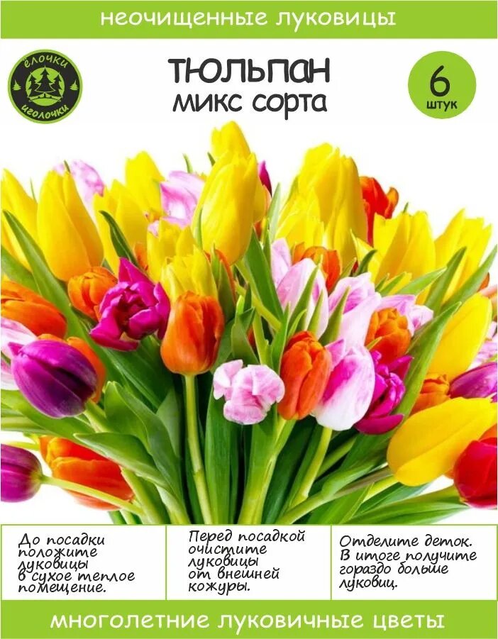 Тюльпан луковичные цветы Микс сортов 6 шт