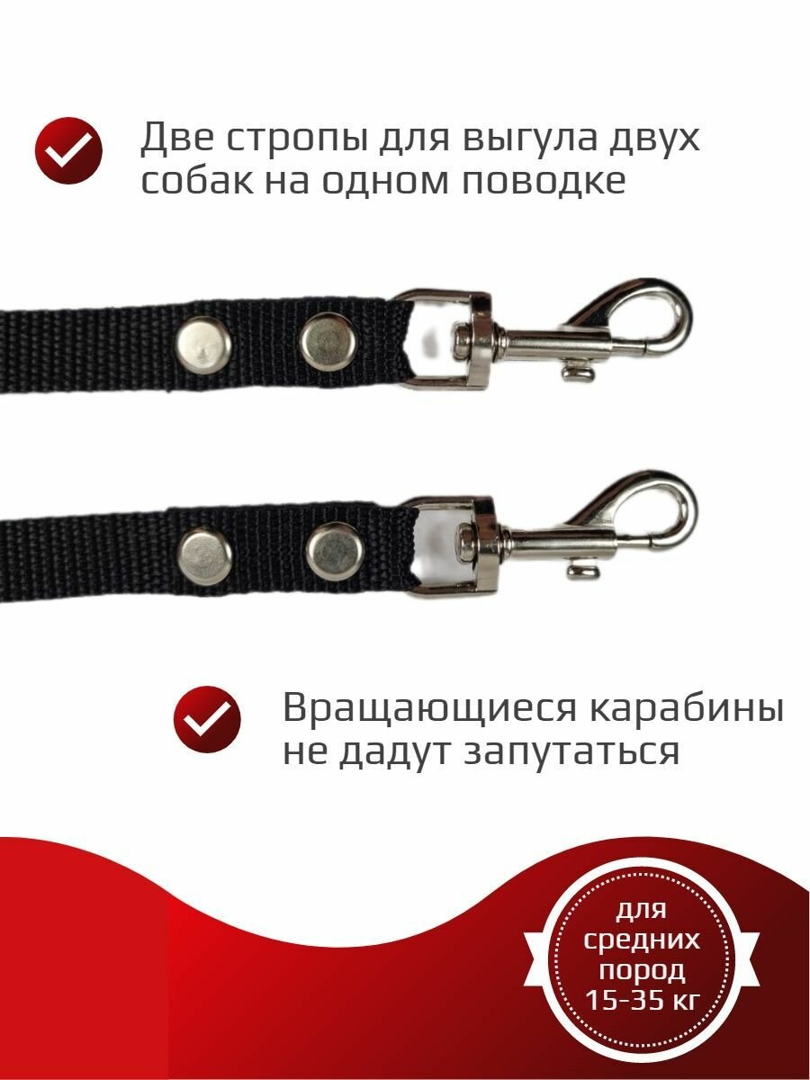 Сворка Хвостатыч для двух собак нейлон 70 см х 20 мм с поводком 1.5 м (чёрный) — фото 1