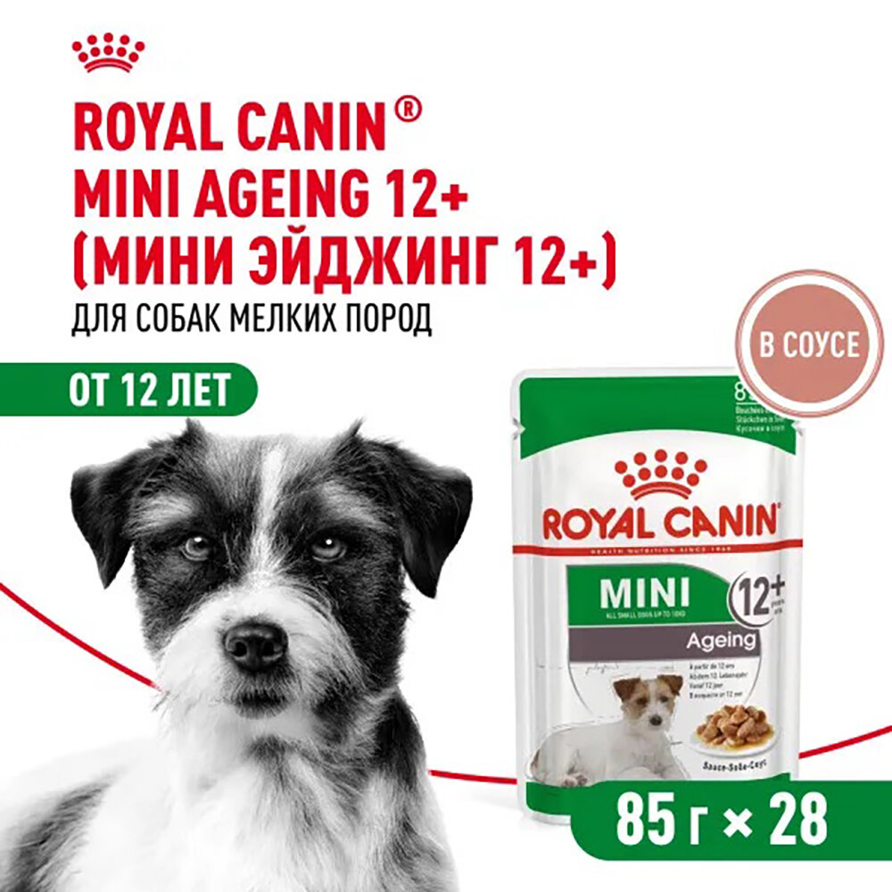 Royal Canin Mini Ageing 12+ влажный корм для пожилых собак мелких пород, кусочки в соусе (28шт в уп) 85 гр