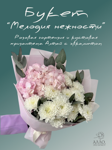Изображение товара Авторский букет «Мелодия нежности» из розовой гортензии и кустовой хризантемы Алтай с эвкалиптом