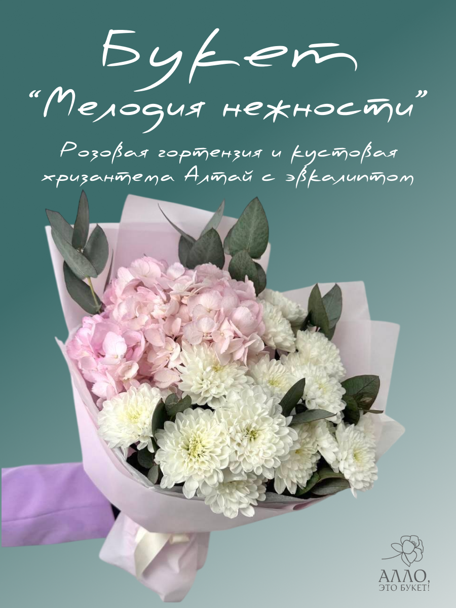 Авторский букет «Мелодия нежности» из розовой гортензии и кустовой хризантемы Алтай с эвкалиптом