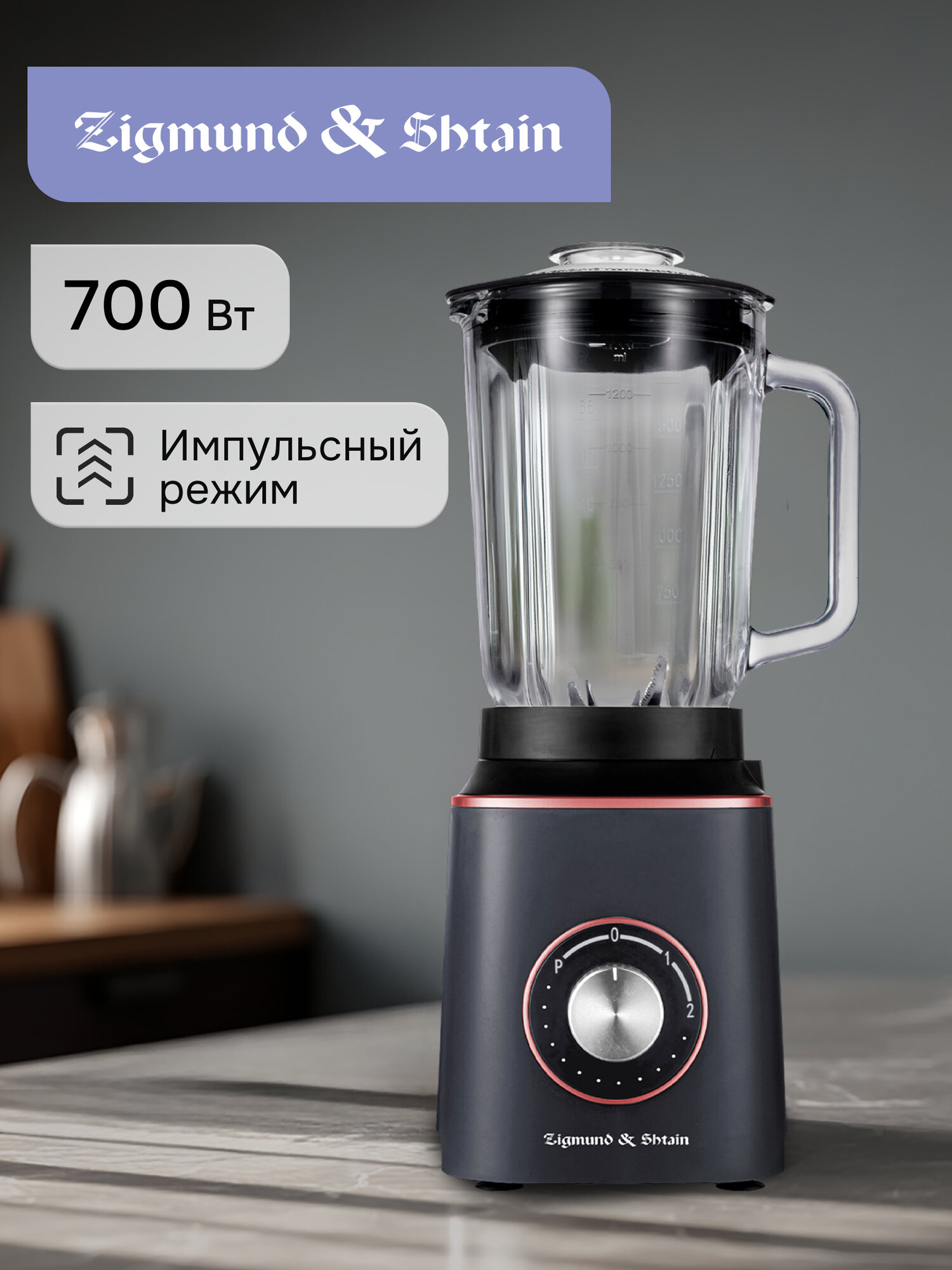 Блендер стационарный Zigmund & Shtain BS-442 D, 2 скорости, 700 Вт, антрацит