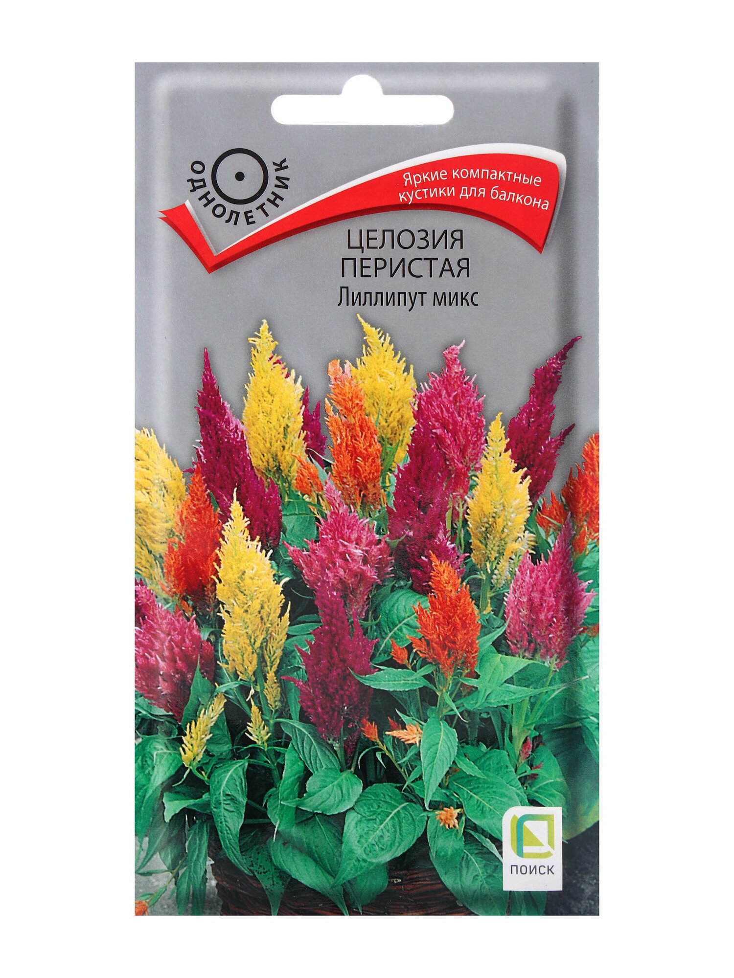 Семена цветов Целозия перистая Лиллипут микс 0.1гр отношение к свету: светолюбивые