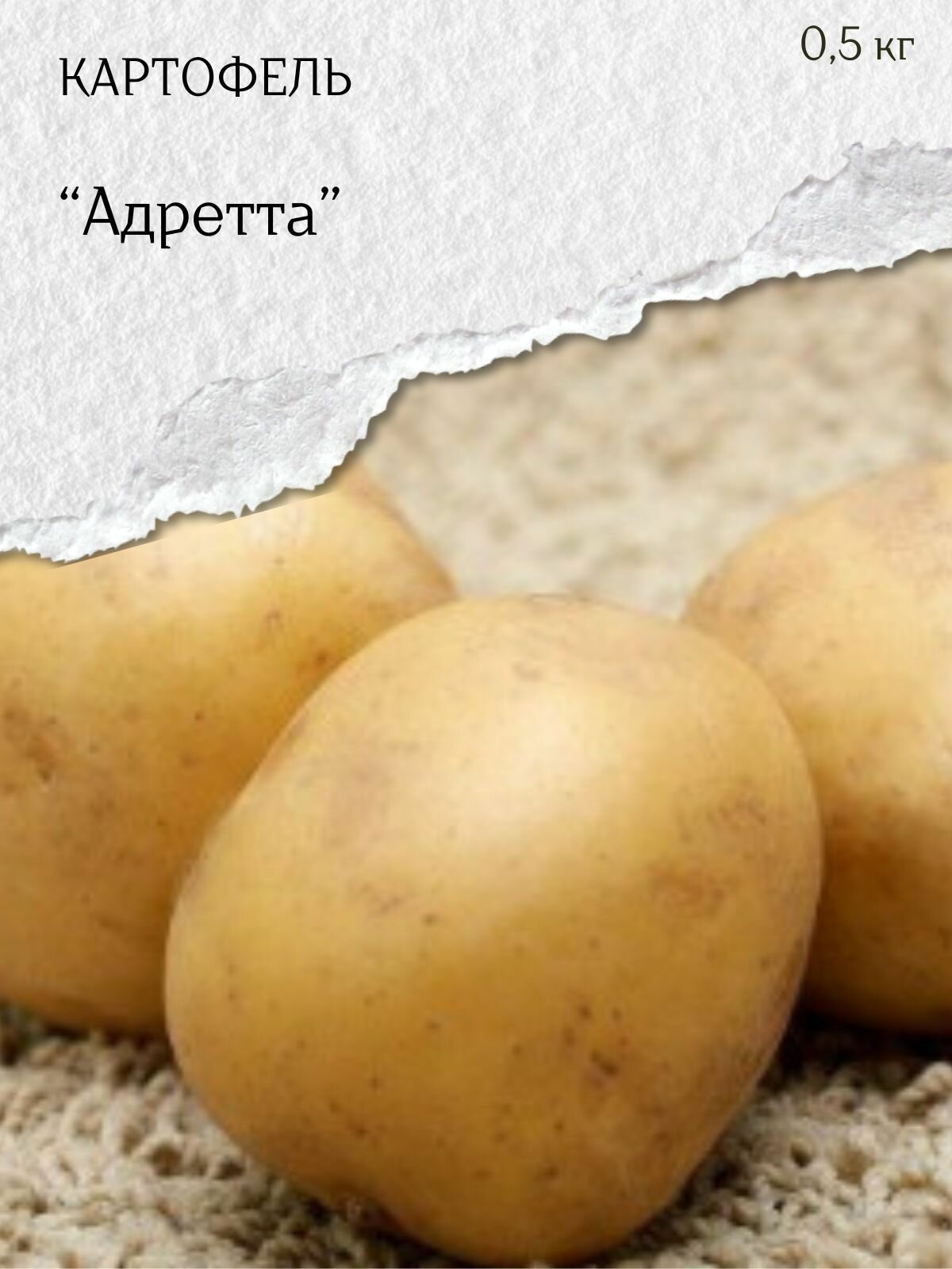 Картофель семенной белый Адретта клубни на посадку 500 гр.