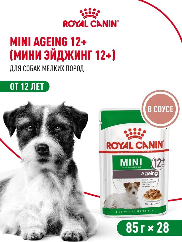 Влажный корм для собак мелких пород Royal Canin Mini Ageing для пожилых кусочки в соусе 28 шт по 85 г