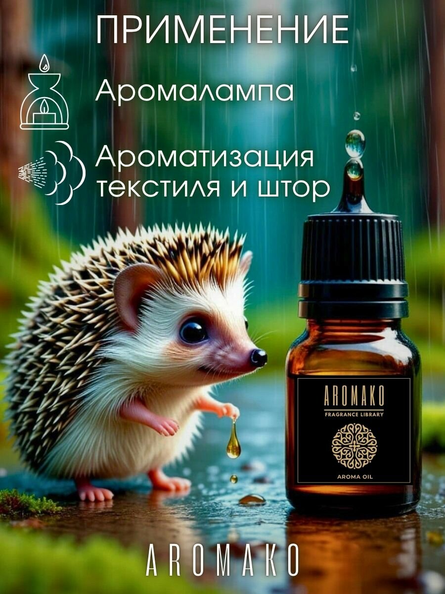 Ароматическое масло AROMAKo "Лес после дождя" , для ароматерапии, 15мл — фото 1