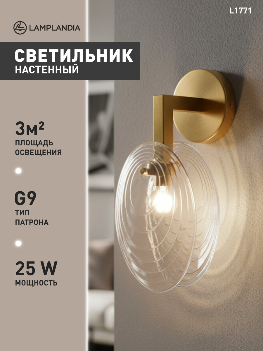 Бра Lamplandia L1771 SHELL GOLD CLEAR G9*1 макс 25Вт