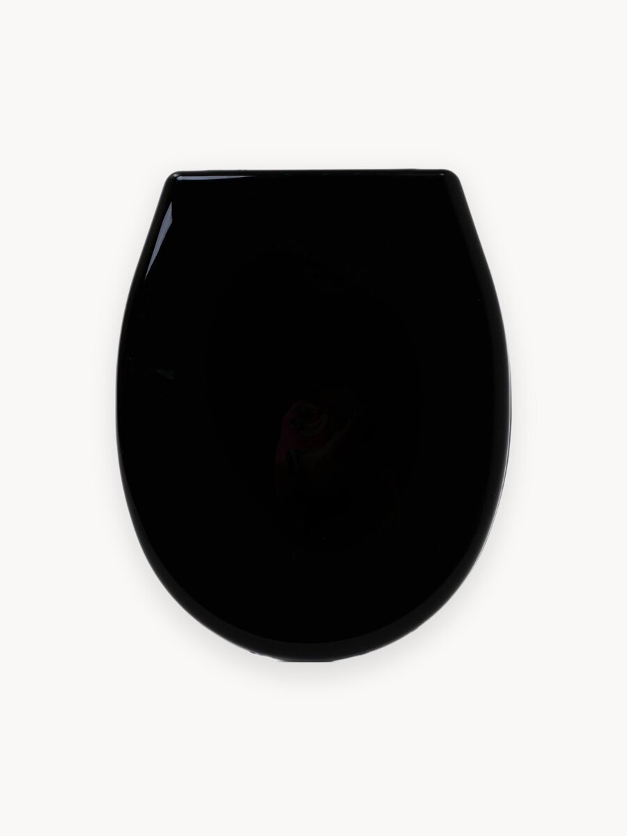 Сиденье для унитаза с крышкой Океан Люкс с креплениями цвет черный