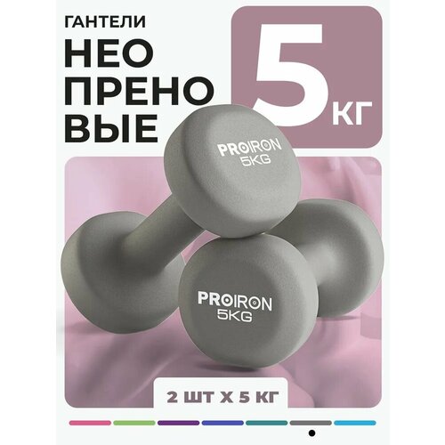 Гантели 5 кг 2 штуки неопреновые PROIRON, набор для фитнеса, серые