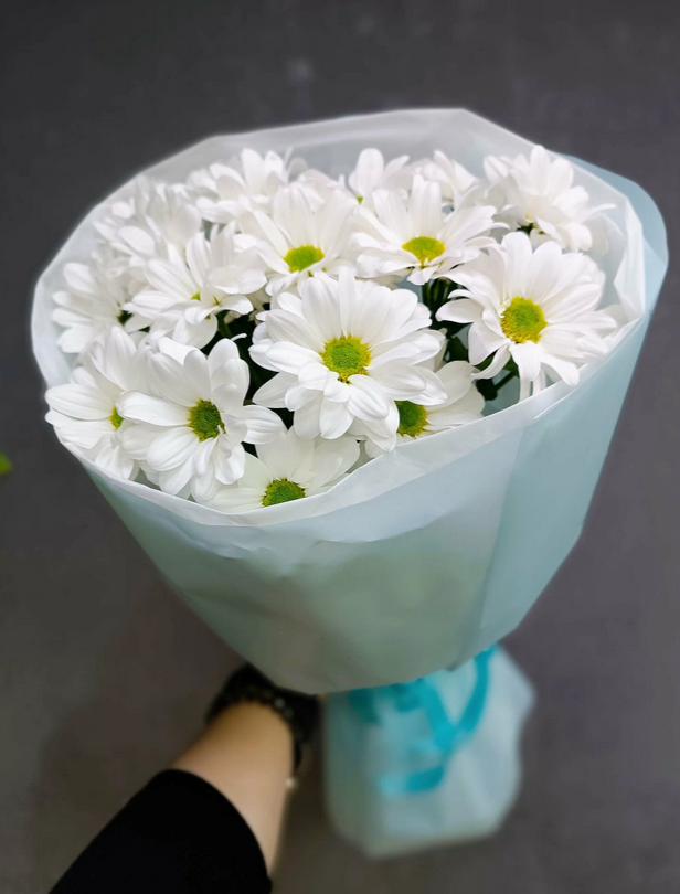 Букет цветов из кустовых хризантем Бакарди белый 50 см 3 шт монобукет