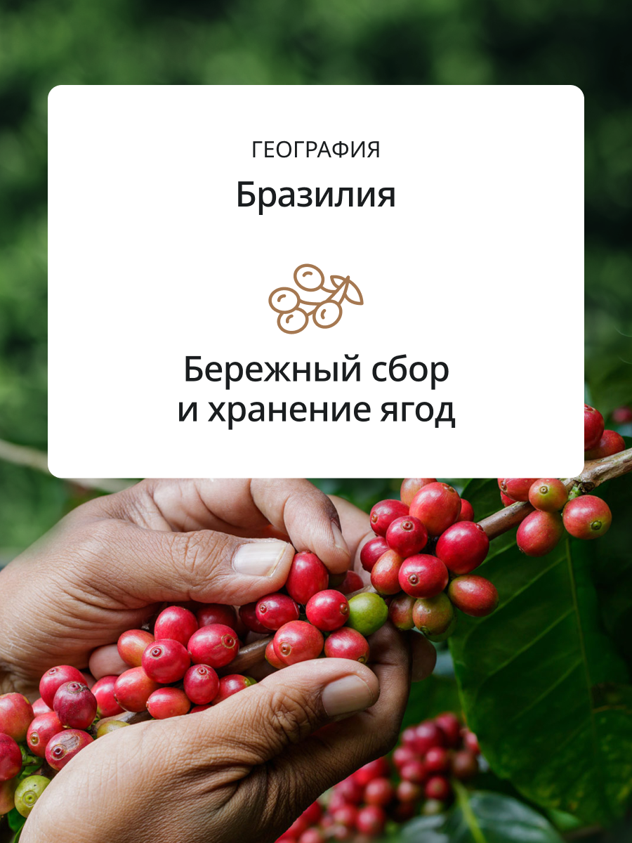 Кофе в зернах Signature MILK selection blend DeLonghi Coffee 250 гр. Арабика Бразилия — фото 1