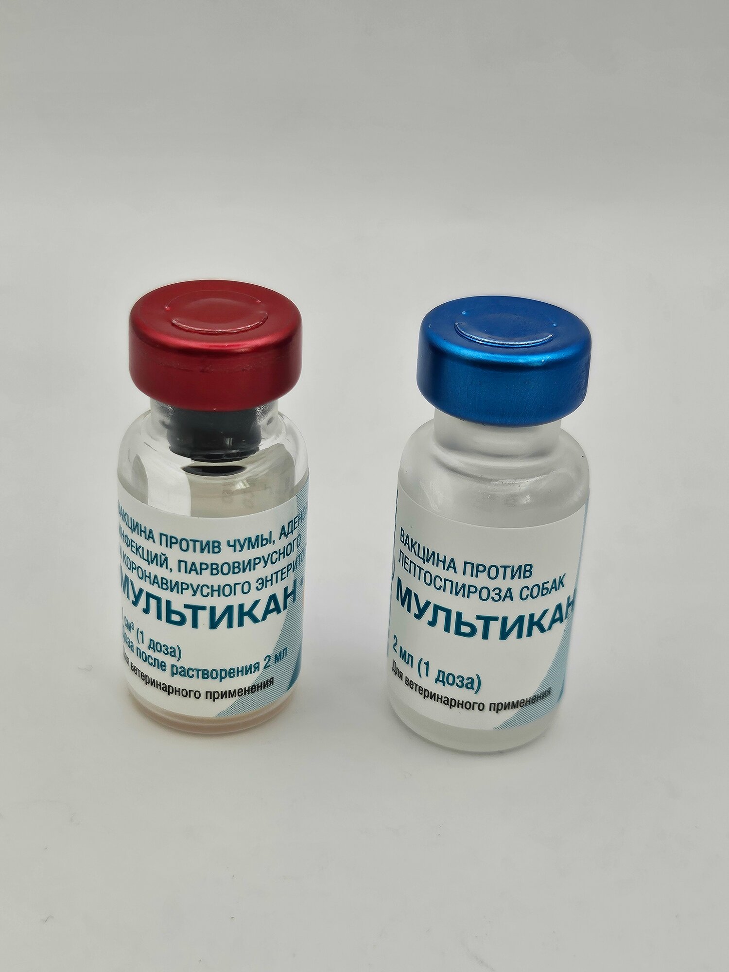 Мультикан-6 для собак (1 доза, 2 ампулы)