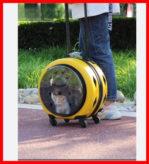 2 в 1 Универсальный Чемодан-домик для кошек, 45*40*27 см, 6049 — фото 1