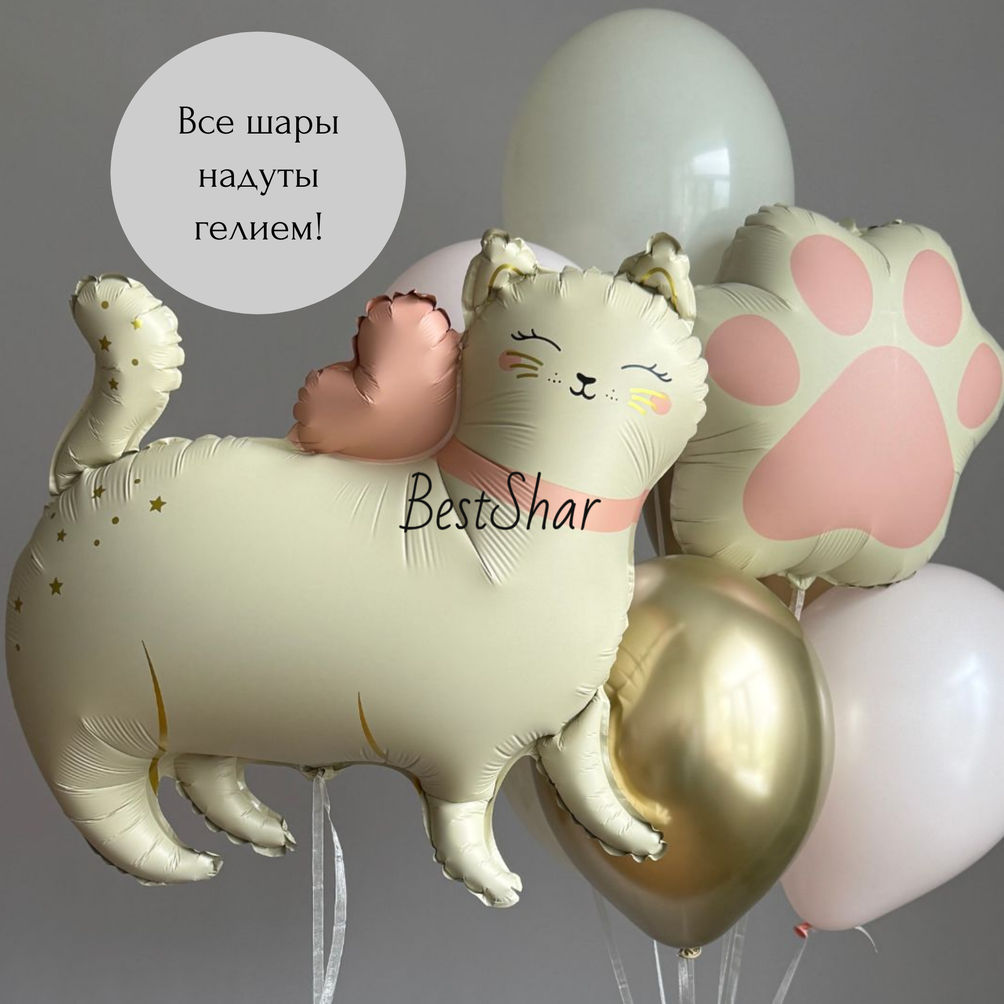 Композиция из воздушных шаров с гелием BestShar "Ласковая кошечка"