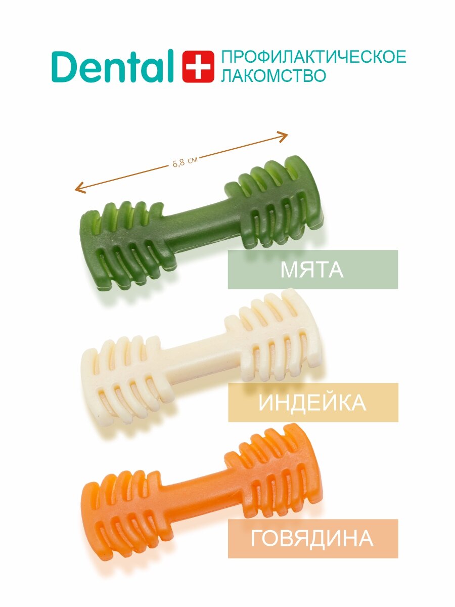 Собака породы джек рассел терьер грызёт зубочистку TiTBiT, хозяин гладит питомца