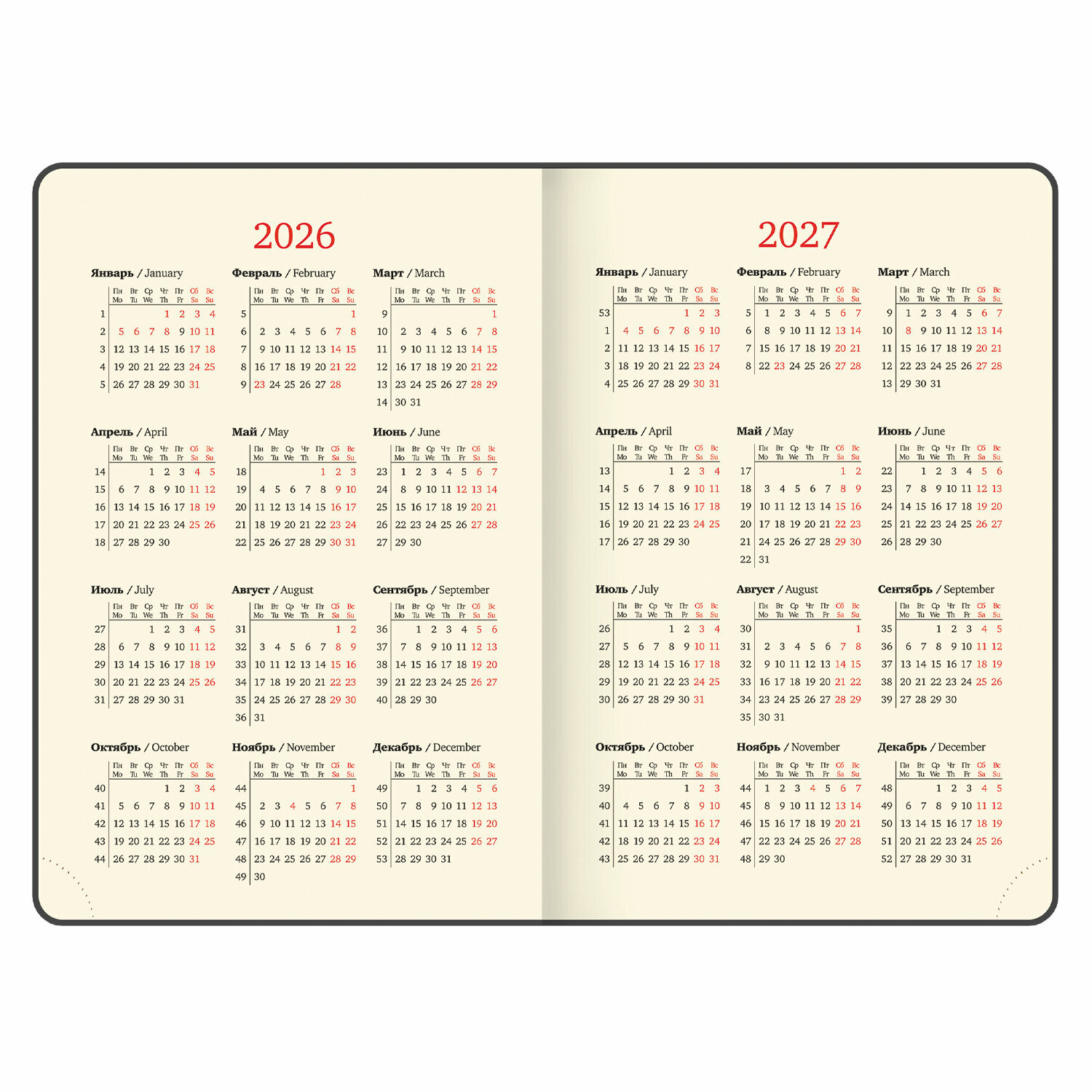 Упаковка 2 шт. Ежедневник датированный 2026, А5, 138х213 мм, BRAUBERG "Essential", под кожу, держатель, темно-зеленый, 117394