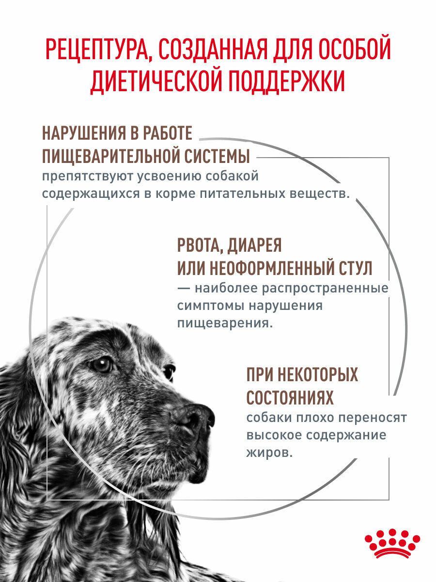 Картинки Сухой корм для собак Royal Canin Gastrointestinal Low Fat диетический при нарушениях пищеварения, 1,5 кг