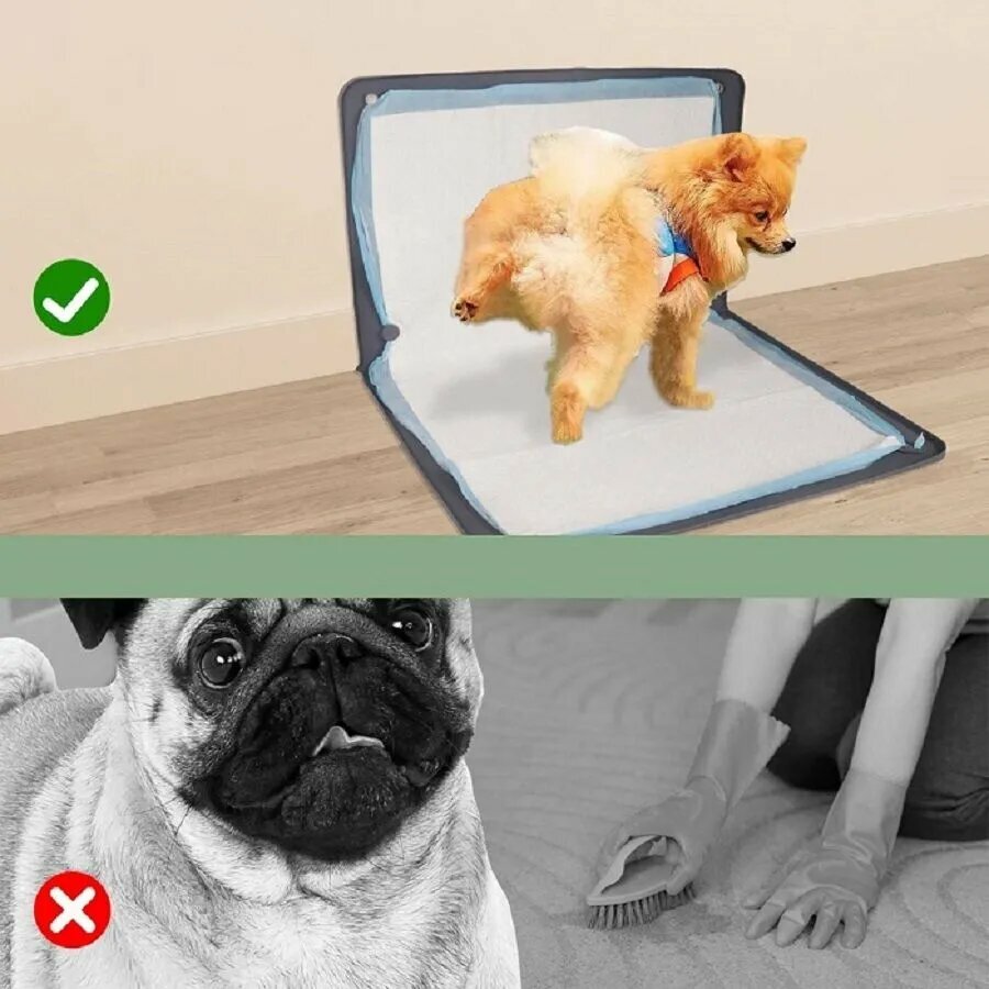 Изображение Туалет для животных