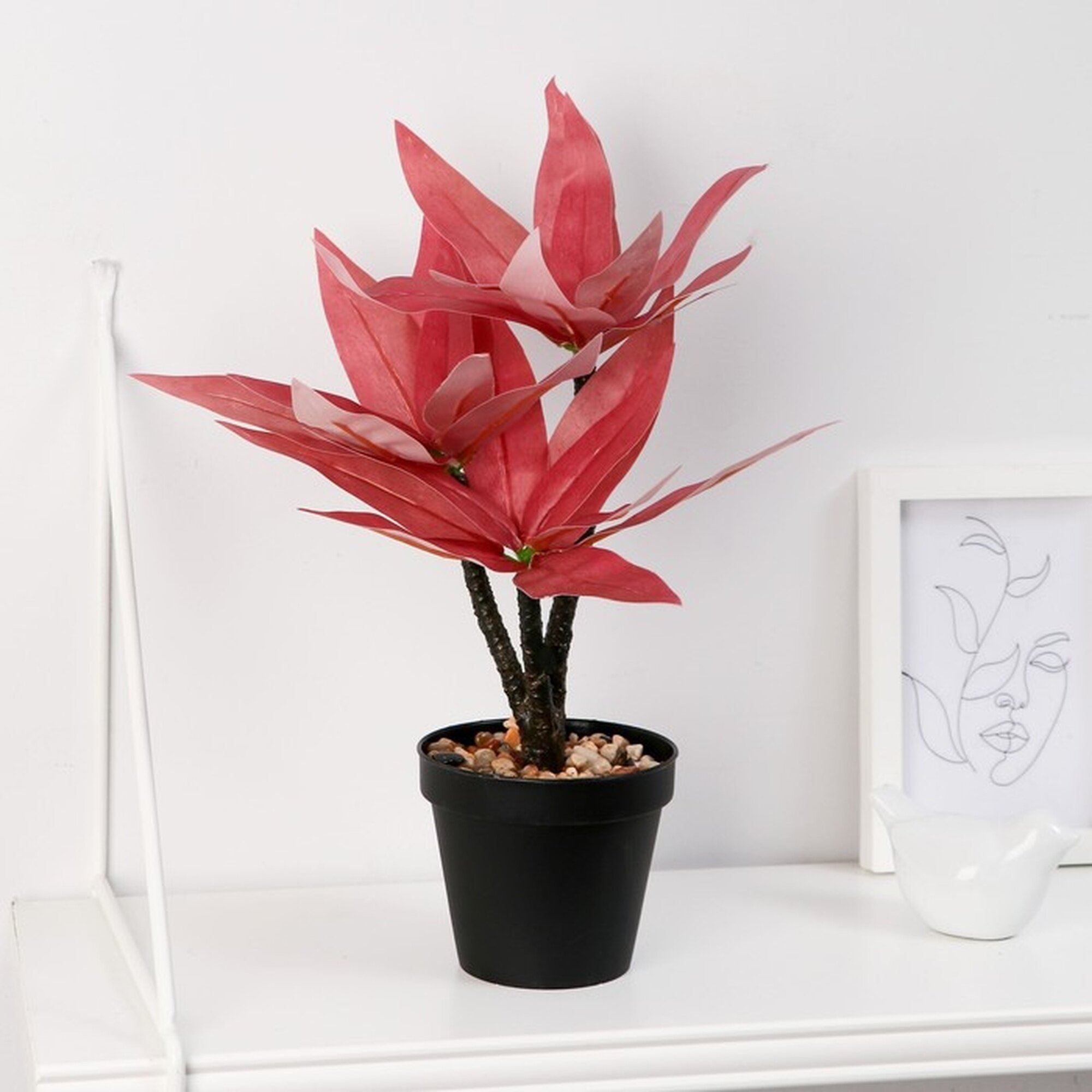 Бонсай Сима-ленд «Традесканция колор» в горшке разноцветный 10x26 см