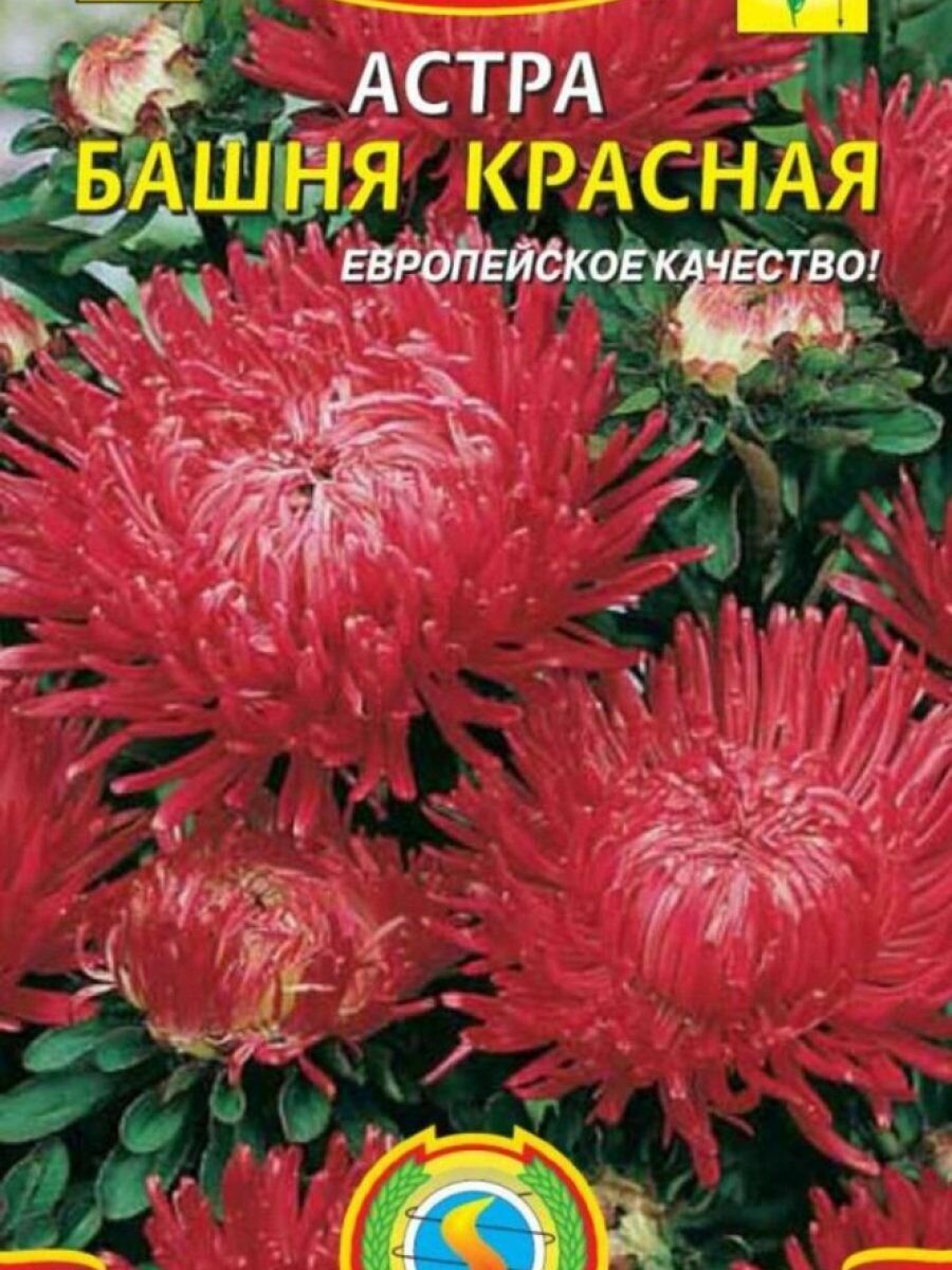Семена Астра Башня Красная 03 гр Плазменные семена