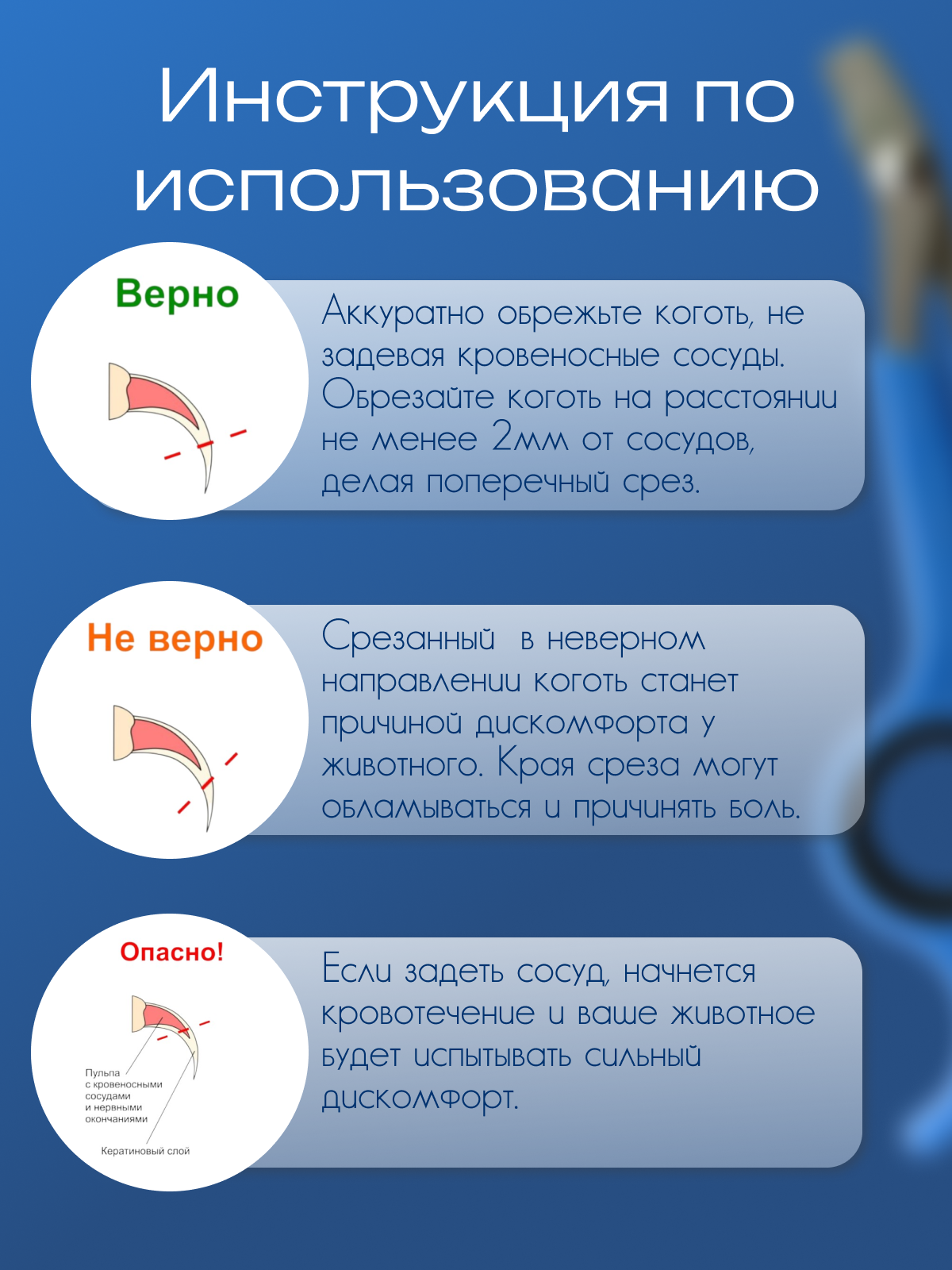 Картинки Когтерез МИНИ без ограничителя, для груминга собак и кошек, синий
