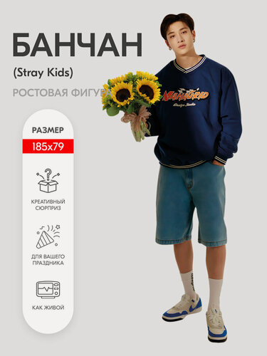 Изображение товара Банчан (Stray Kids) ростовая фигура 2