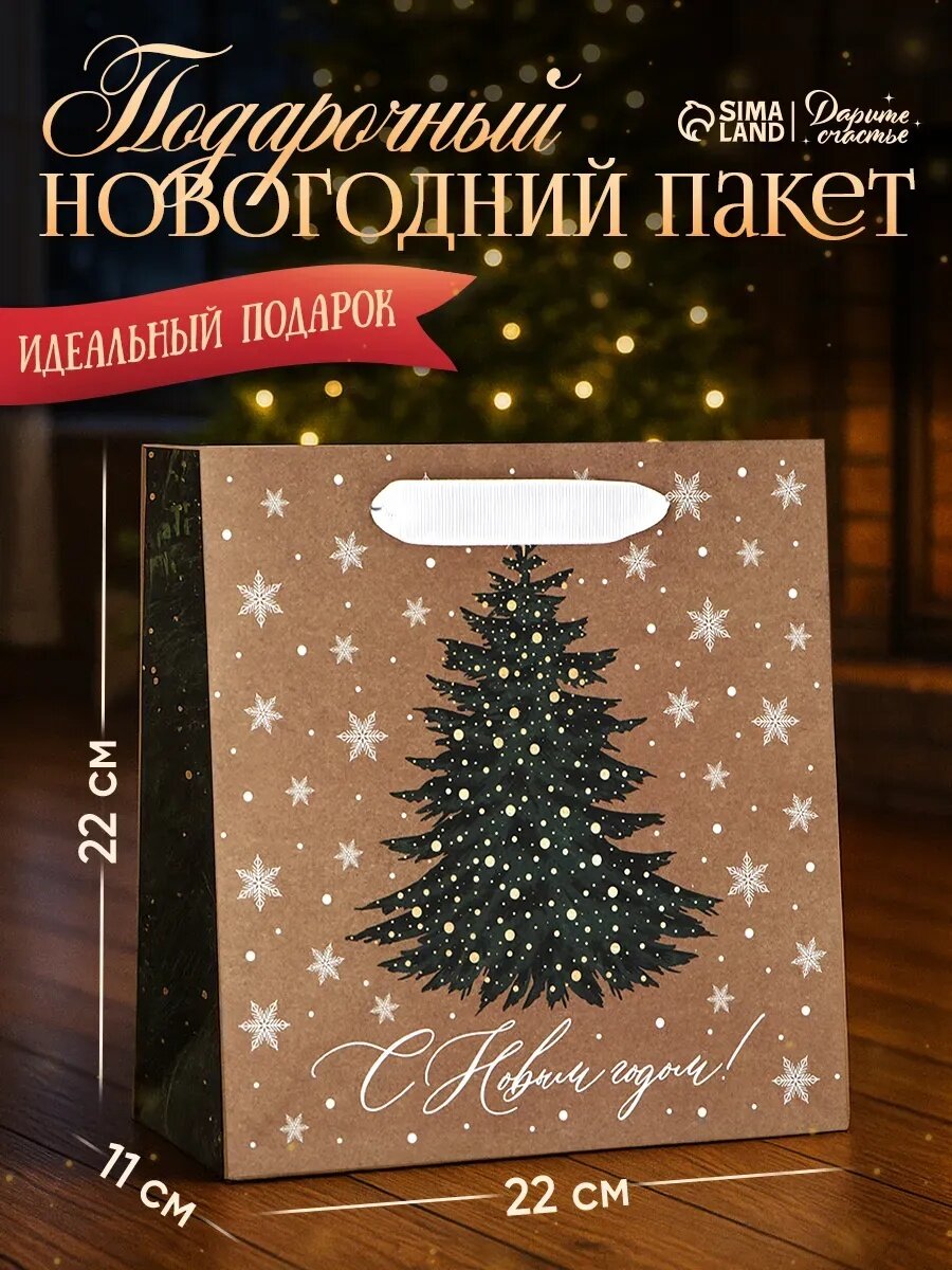 Подарочный пакет «Новогодняя красавица» 22 х 22 х 11 см крафтовый для упаковки подарка на Новый год