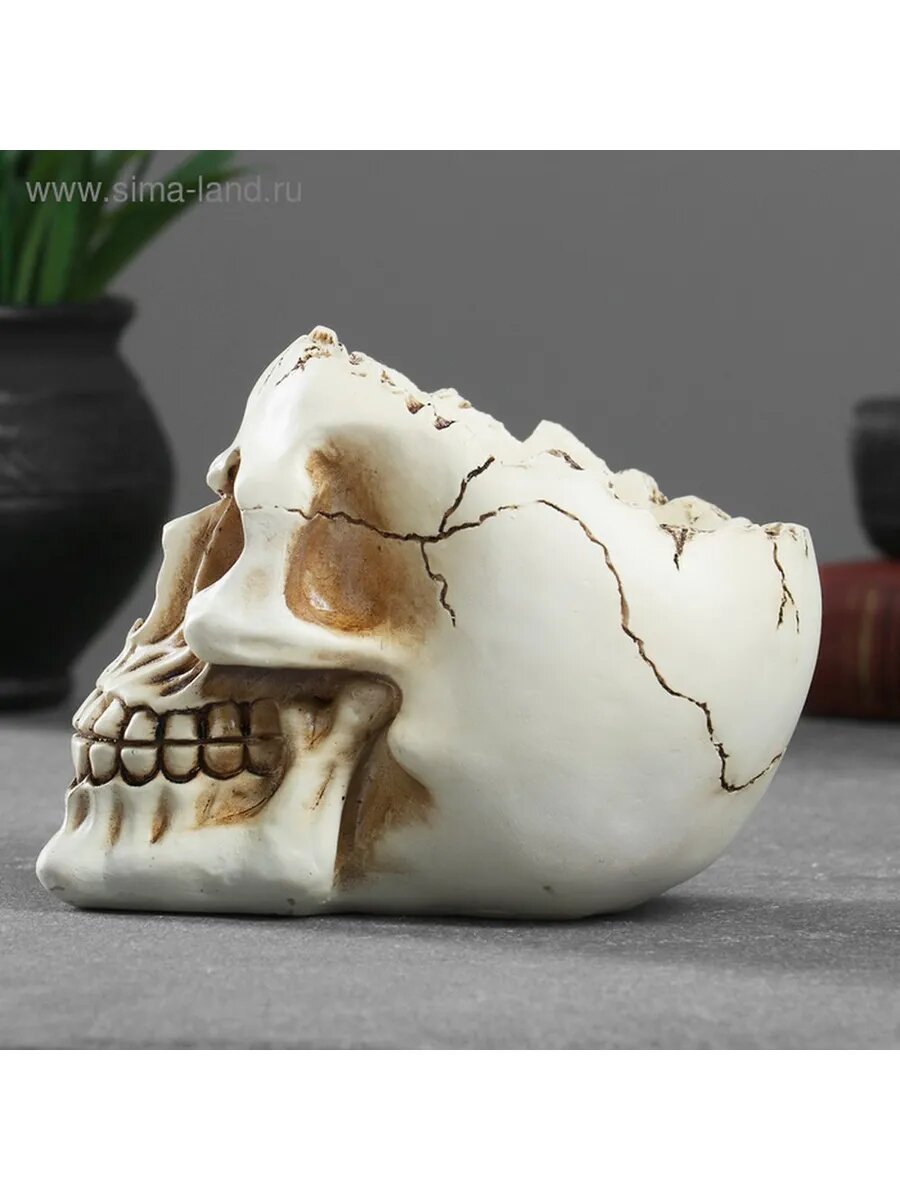 Стильная конфетница-череп для декора