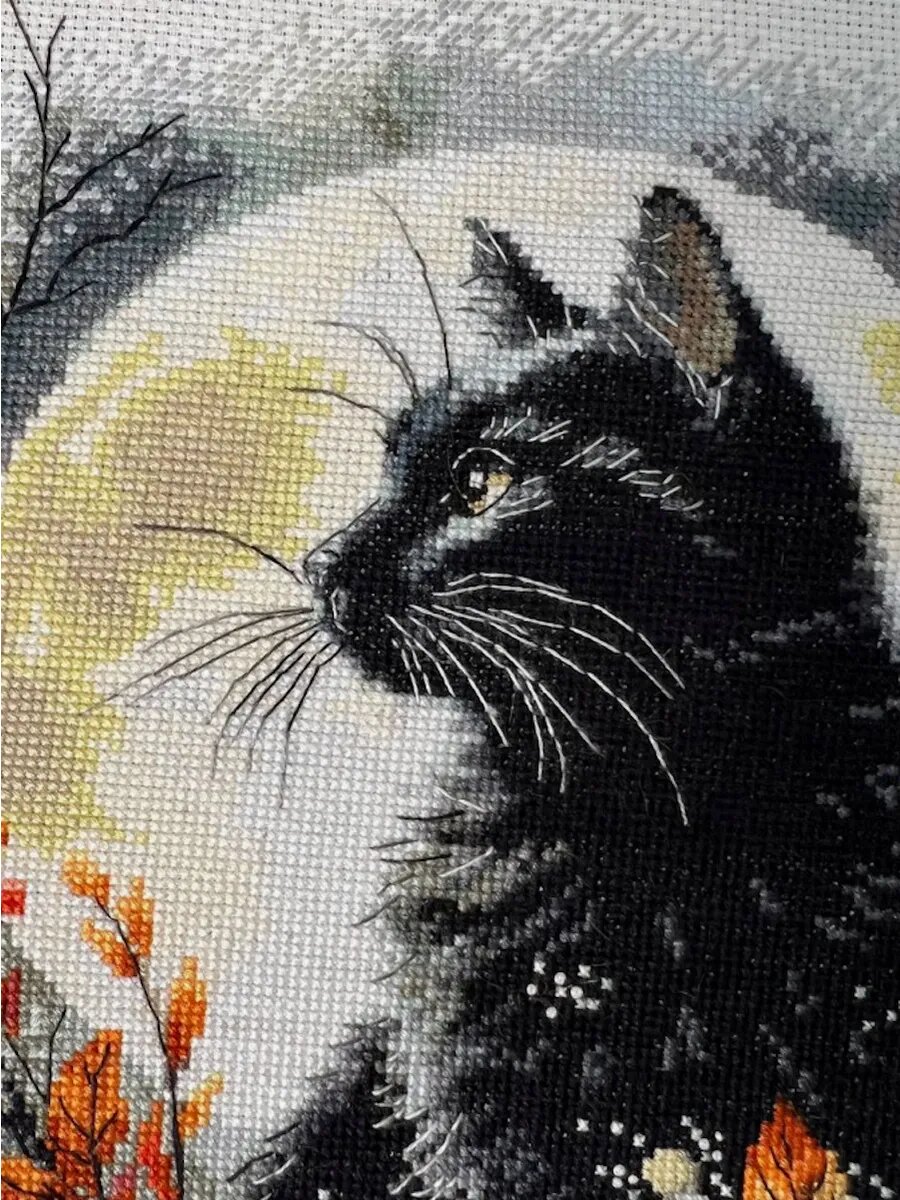 Набор для вышивания крестиком Кот 16 СТ — фото 1
