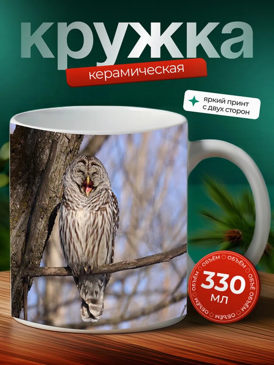 Кружка Неясыть птица 12,