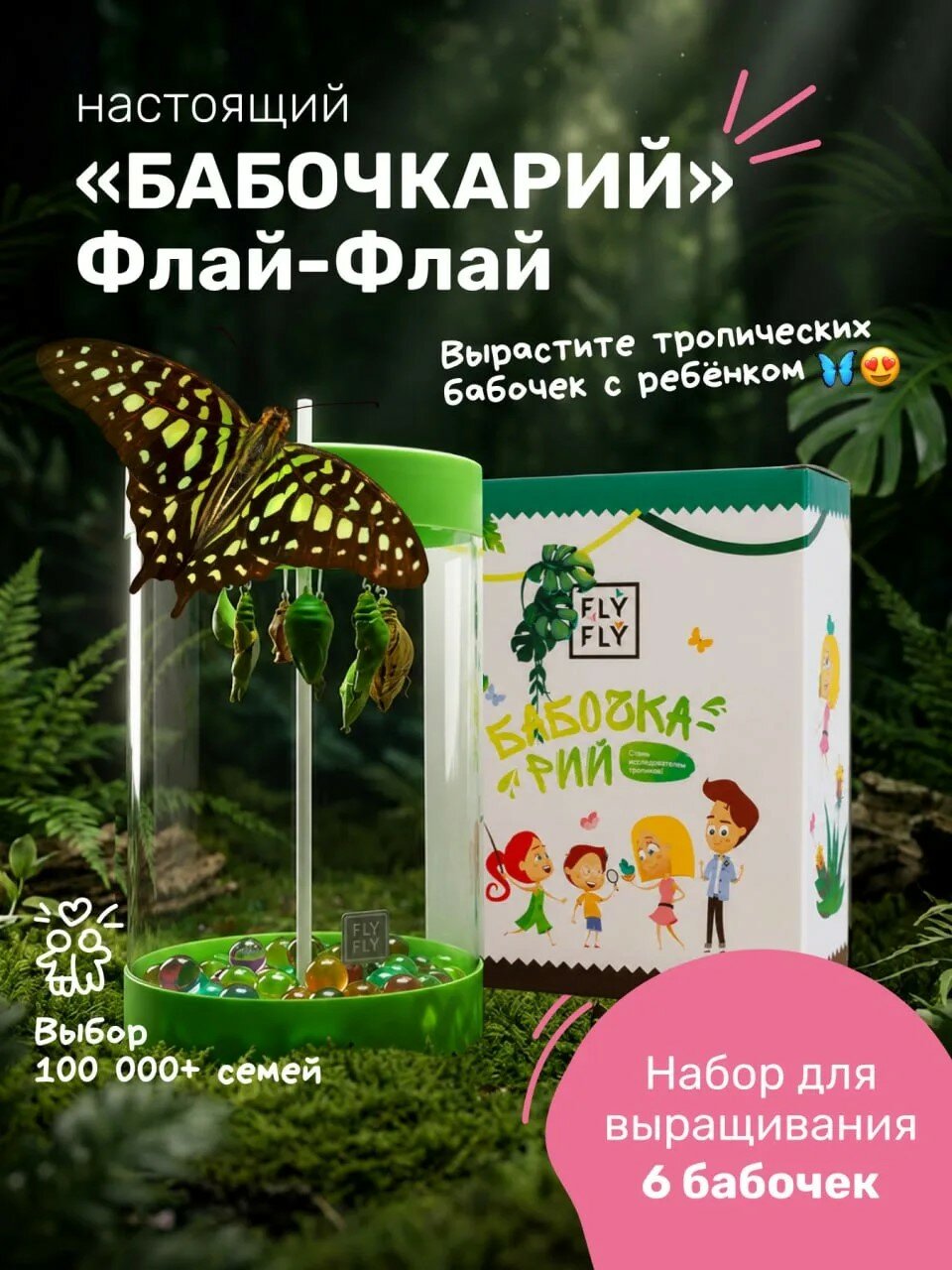 Ферма бабочек "Бабочкарий" на 6 куколок / Детский набор для исследований от Флай-Флай
